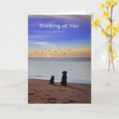 Pet Sympathy Loss of Cat or Dog Silhouetted Beach Karte (Gelbe Blume)