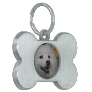 Pet-Tag - Maßgeschneidert Tiermarke
