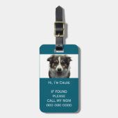 Pet-Trägerscan bei verlorenem QR-Foto Gepäckanhänger (Vorderseite vertikal)