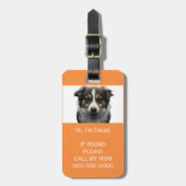 Pet-Trägerscan bei verlorenem QR-Foto Gepäckanhänger (Vorderseite vertikal)