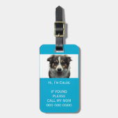 Pet-Trägerscan bei verlorenem QR-Foto Gepäckanhänger (Vorderseite vertikal)