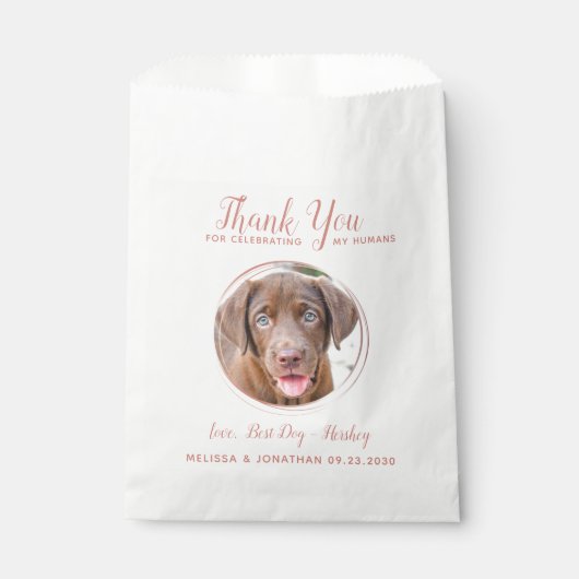 Pet Wedding Modern Rose Gold Hund Foto Vielen Dank Geschenktütchen (Vorderseite)