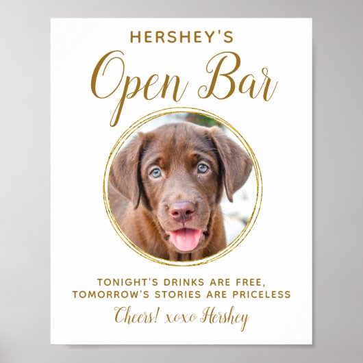 Pet Wedding Open Bar Dog Foto Elegante Gold Drinks Poster (Vorne)