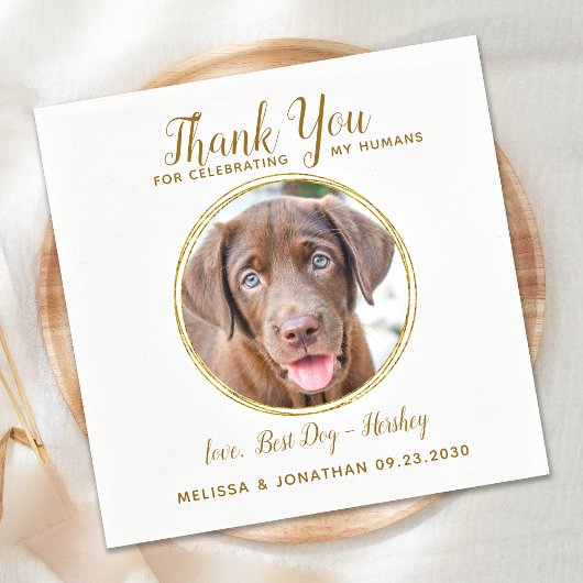 Pet Wedding Vielen Dank Custom Foto Elegante Gold Serviette