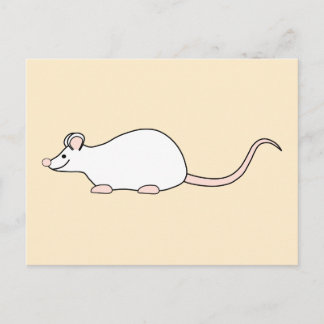 Pet Weiße Maus. Postkarte