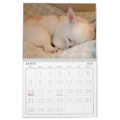 Petal-Anne-Kalender Kalender (Mär 2027)