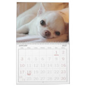 Petal-Anne-Kalender Kalender (Jan 2027)