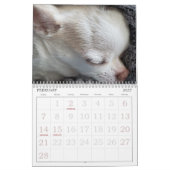 Petal-Anne-Kalender Kalender (Feb 2027)