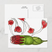 "Petal Fall #1" florale Postkarte (Vorne/Hinten)