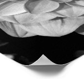 Petal Pattern Poster (Ecke)