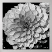 Petal Pattern Poster (Vorne)