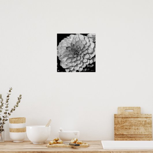 Petal Pattern Poster (Küche)