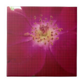 Petal Perfektion: Scheckte Rose Petal Muster Art Fliese (Vorderseite)