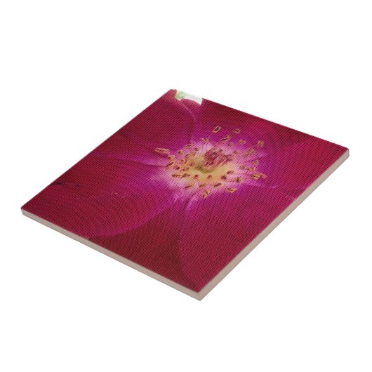 Petal Perfektion: Scheckte Rose Petal Muster Art Fliese (Seite)