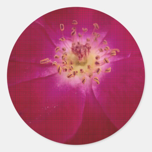 Petal Perfektion: Scheckte Rose Petal Muster Art Runder Aufkleber (Vorderseite)