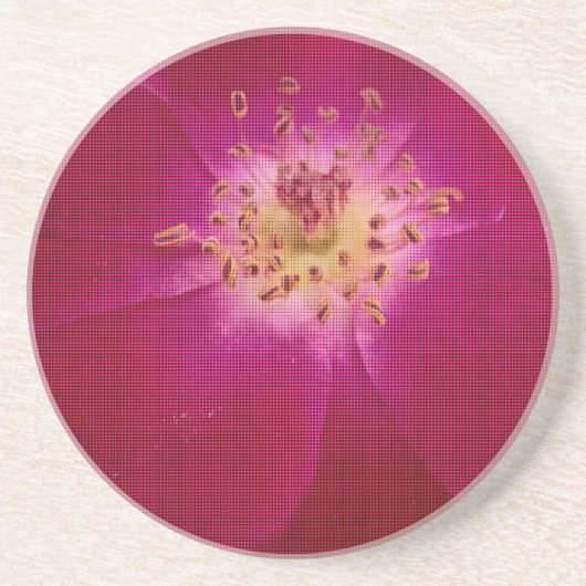 Petal Perfektion: Scheckte Rose Petal Muster Art Untersetzer (Vorne)