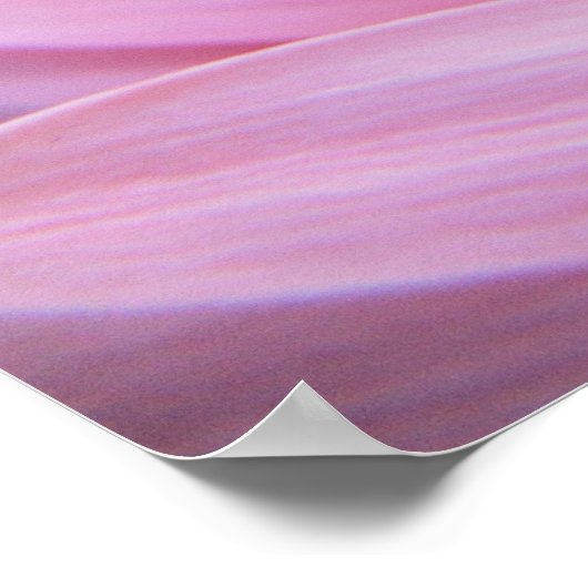 Petal Pink Poster (Ecke)