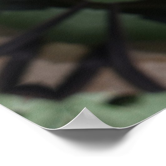 Petal Symphony Poster (Ecke)