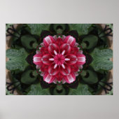 Petal Symphony Poster (Vorne)