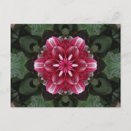 Petal Symphony Postkarte (Vorderseite)