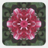 Petal Symphony Quadratischer Aufkleber (Vorderseite)
