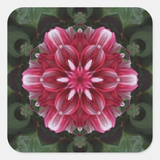 Petal Symphony Quadratischer Aufkleber (Vorderseite)