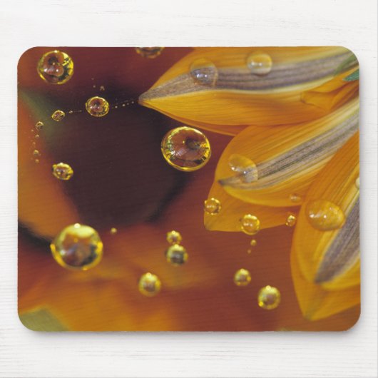 Petalen auf der reflektierenden Oberfläche von Myl Mousepad (Vorne)