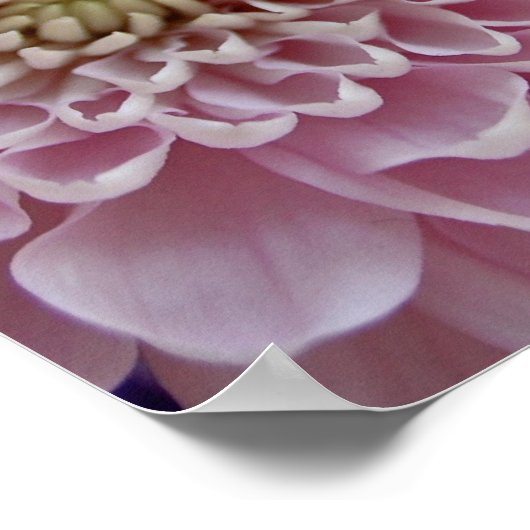 Petals #2 [Art Print] Poster (Ecke)