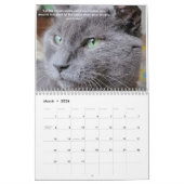 Petals Feather & Friends 2022 Kalender mit Zitaten (Mär 2026)