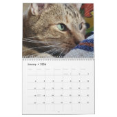 Petals Feather & Friends 2023 Kalender (Jan 2026)