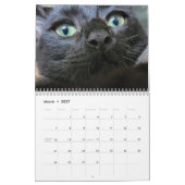 Petals Feather & Friends 2023 Kalender (Mär 2027)