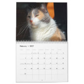 Petals Feather & Friends 2023 Kalender (Feb 2027)