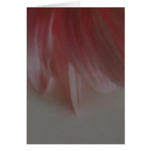 Petals ~ Karte / Einladungen
