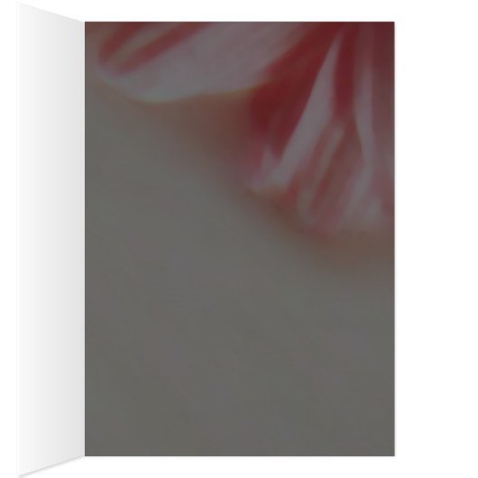 Petals ~ Karte / Einladungen (Innen (Rechts))