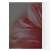 Petals ~ Karte / Einladungen (Innen (Links))