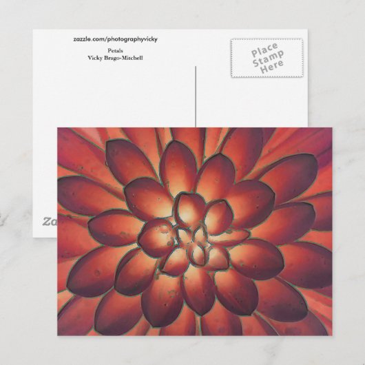 Petals Moderne Abstrakte Kunstkunst Postkarte (Vorne/Hinten)