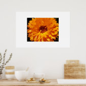 Petals Poster (Küche)