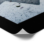 Petals Poster (Ecke)