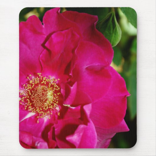 Petals von Summer Mousepad (Vorne)