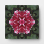 Petalsymphonie Fotoplatte (Vorderseite)