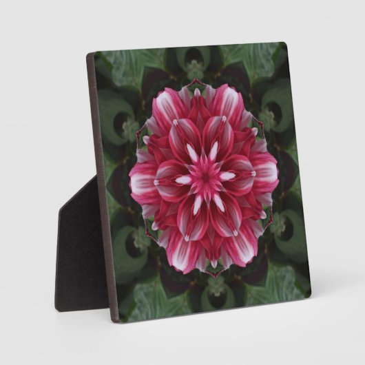 Petalsymphonie Fotoplatte (Vorderseite)
