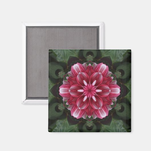 Petalsymphonie Magnet (Vorderseite/Rückseite)