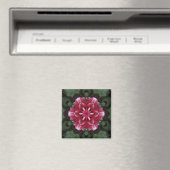 Petalsymphonie Magnet (In Situ (Geschirrspüler))