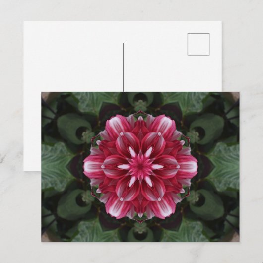 Petalsymphonie Postkarte (Vorne/Hinten)