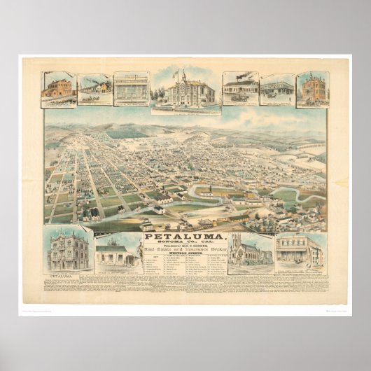Petaluma, CA. (1314A) Poster (Vorne)