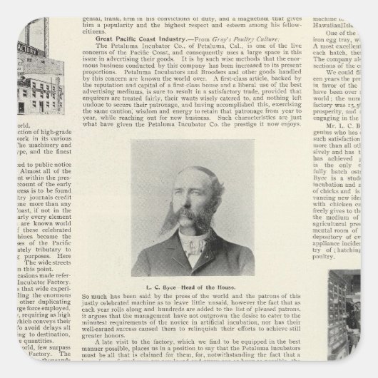 Petaluma Inkubator Factory, Kalifornien Quadratischer Aufkleber (Vorderseite)