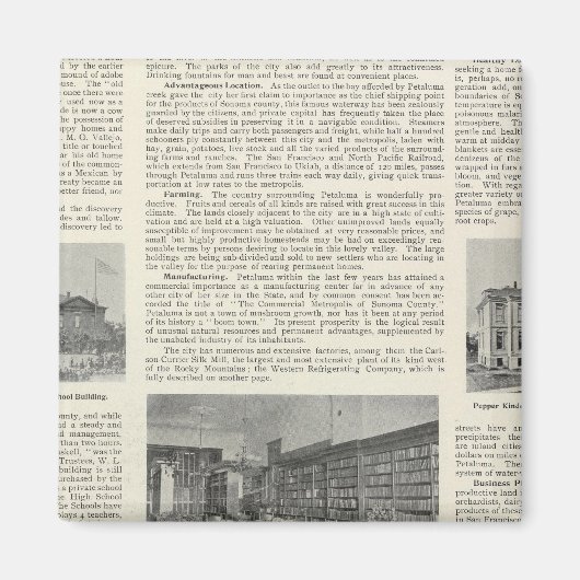 Petaluma, Kalifornien Magnet (Vorne)