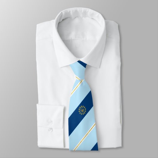 Petaluma (Kalifornien) Stadtflagge Neck Tie Krawatte (Gebunden)