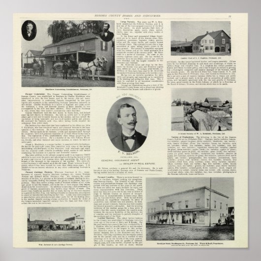 Petaluma-Unternehmen, Kalifornien Poster (Vorne)