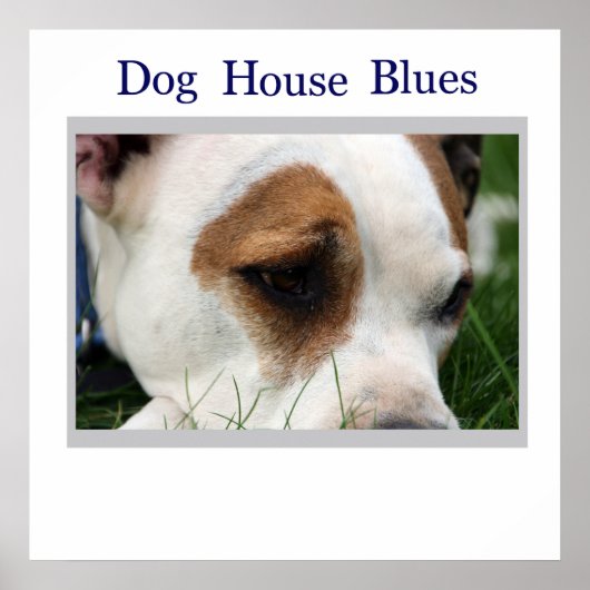 Pete Pit1 Poster (Vorne)